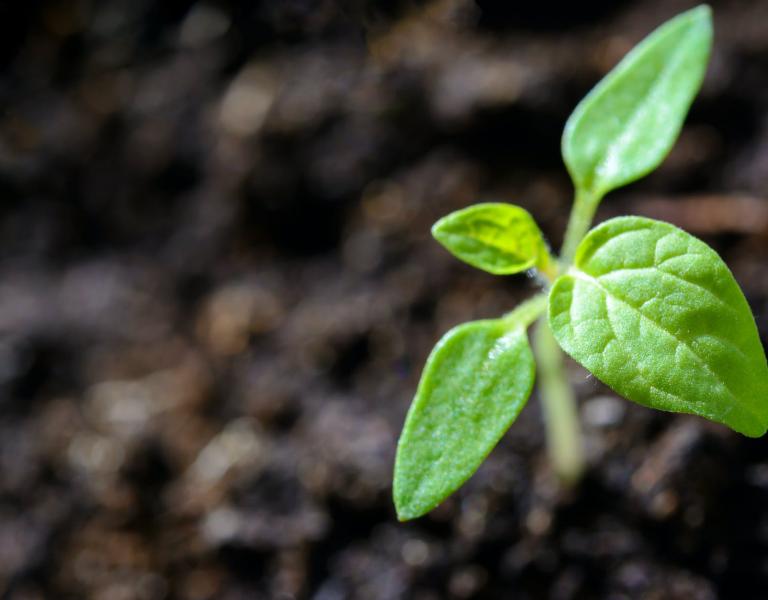 Klimaatopgave: duurzaam verduurzamen