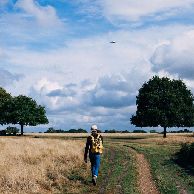 Positieve gezondheid