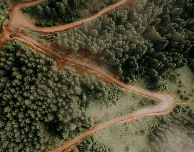 Een avontuurlijke trektocht of een georganiseerde reisgroep?