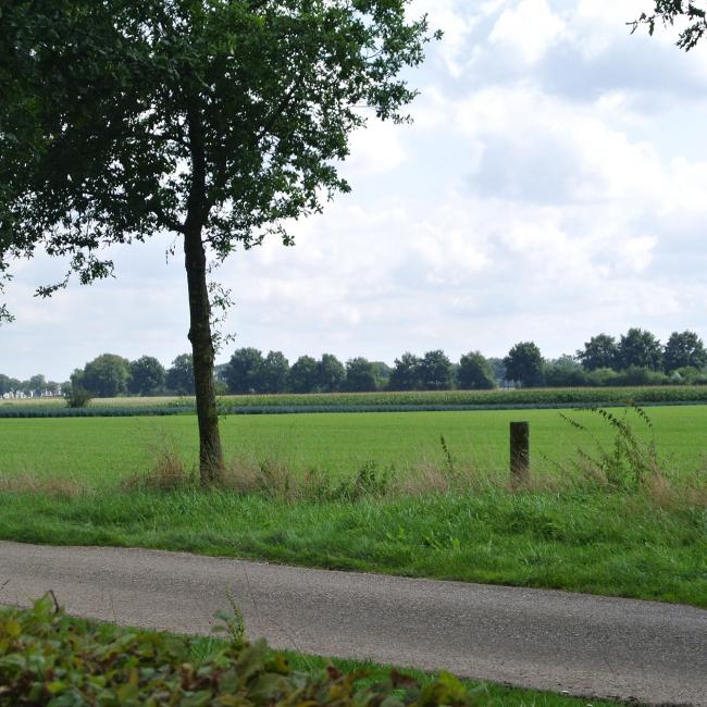 Draagvlak: hoe bereik je het en hoe hou je het vast?