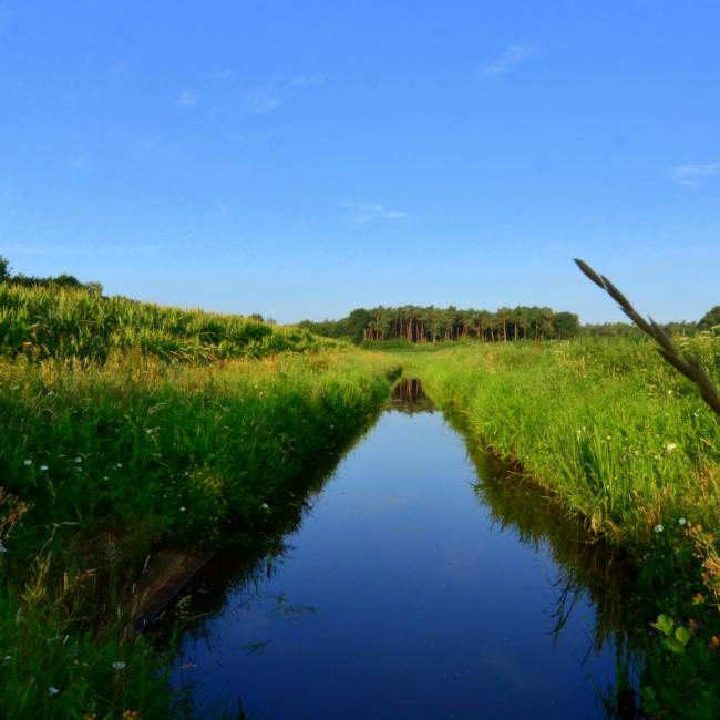 Water, het stroomt door onze opdrachten