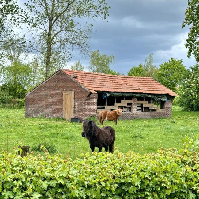 Maak kennis met onze vrienden