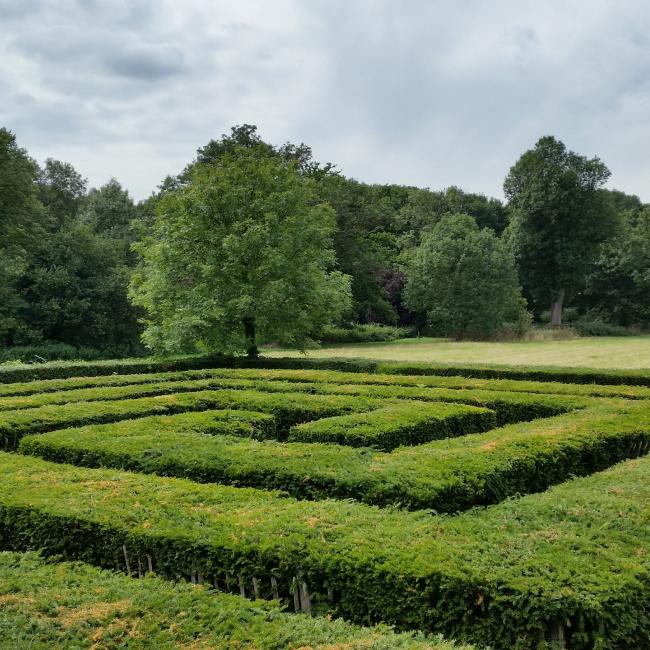 De weg naar het behalen van jouw organisatie ambitie